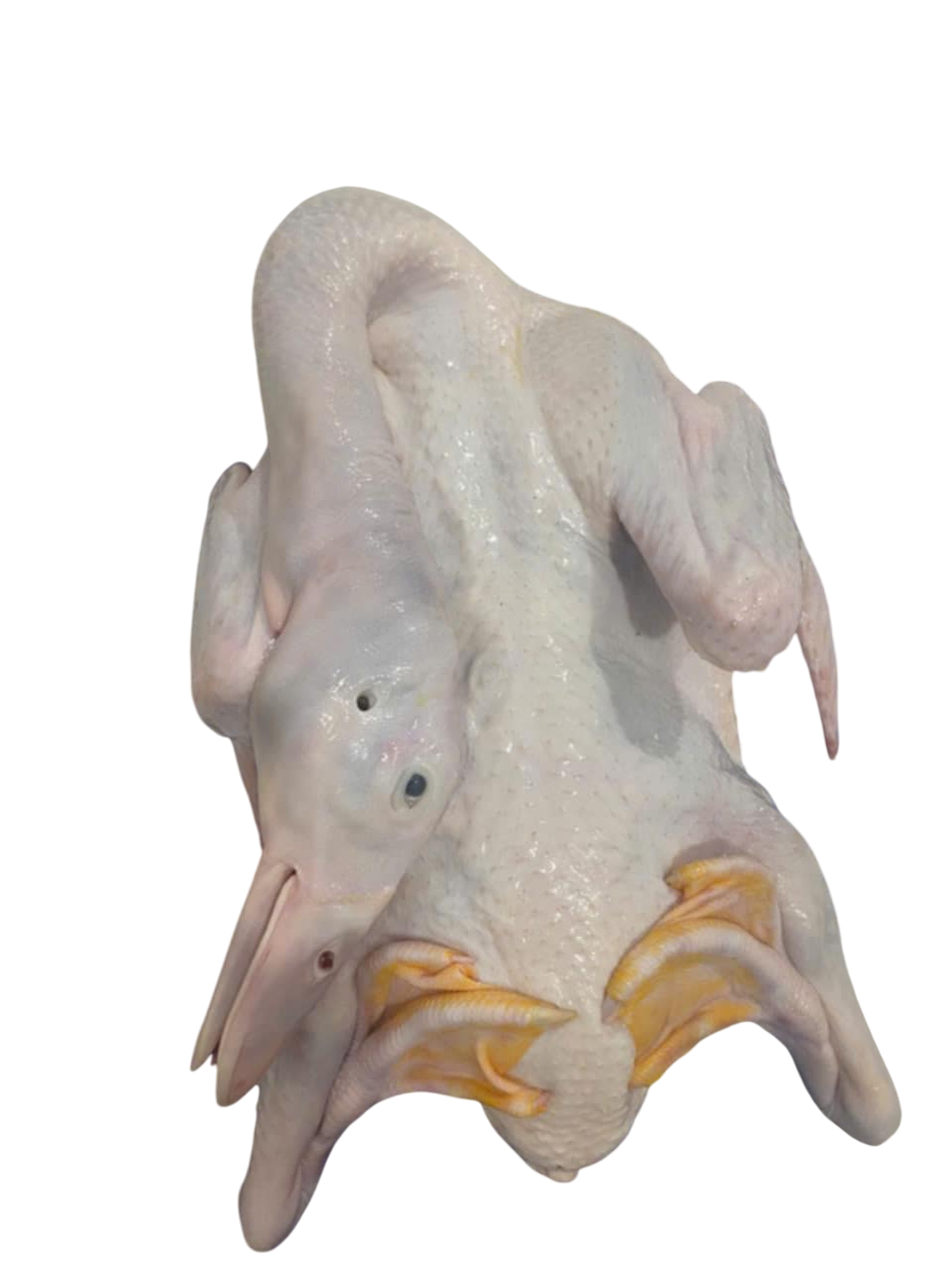 Vịt nguyên con làm sạch